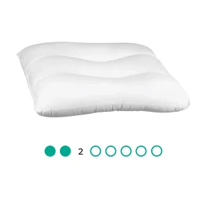 Cervical Pillows