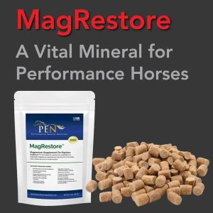 Mag Restore