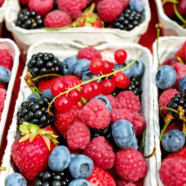 🥑🫐 Happy National Food Day! Let's give our brains a little love, one bite at a time!🧠❤️

Did you know that what we eat helps fuel our brains? And when you're recovering from a concussion, looking after yourself includes giving your body the nourishment and hydration it needs.

So, let's put some deliciousness on the menu!

🍳Eggs-traordinary choices! Eggs provide protein and important nutrients to support your body's general needs.

🐟Reel in the goodness! Salmon and other oily fish contain omega-3 fatty acids, which play an important role in brain health.

🫐Berry nice! Blueberries, strawberries and other colourful fruits provide vitamins, minerals and antioxidants.

🥜Go nuts! Walnuts, almonds and seeds are tasty additions that provide healthy fats and other valuable nutrients.

🥑Avocado, we're glad you're here! Add it to toast, sandwiches, or salads for a delicious source of healthy fats.

💧And don't forget your water! Staying hydrated and eating regular meals can be helpful during concussion recovery.

The best part? Supporting your wellbeing doesn't have to mean complicated recipes or spending hours in the kitchen. Think simple meals, nourishing snacks, and foods you genuinely enjoy.

🥗 What's one food you love that makes you feel good and deserves a place on your plate today?

#NationalFoodDay #ConcussionAwareness #BrainHealth #Wellness #NutritionAndWellbeing